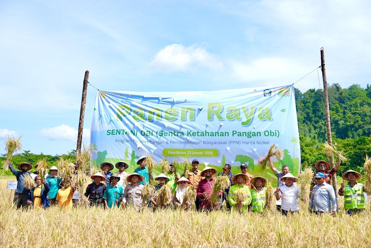 Harita Nickel and South Halmahera Government Host Rice Harvest, Obi Farmers Surpass National Productivity Average