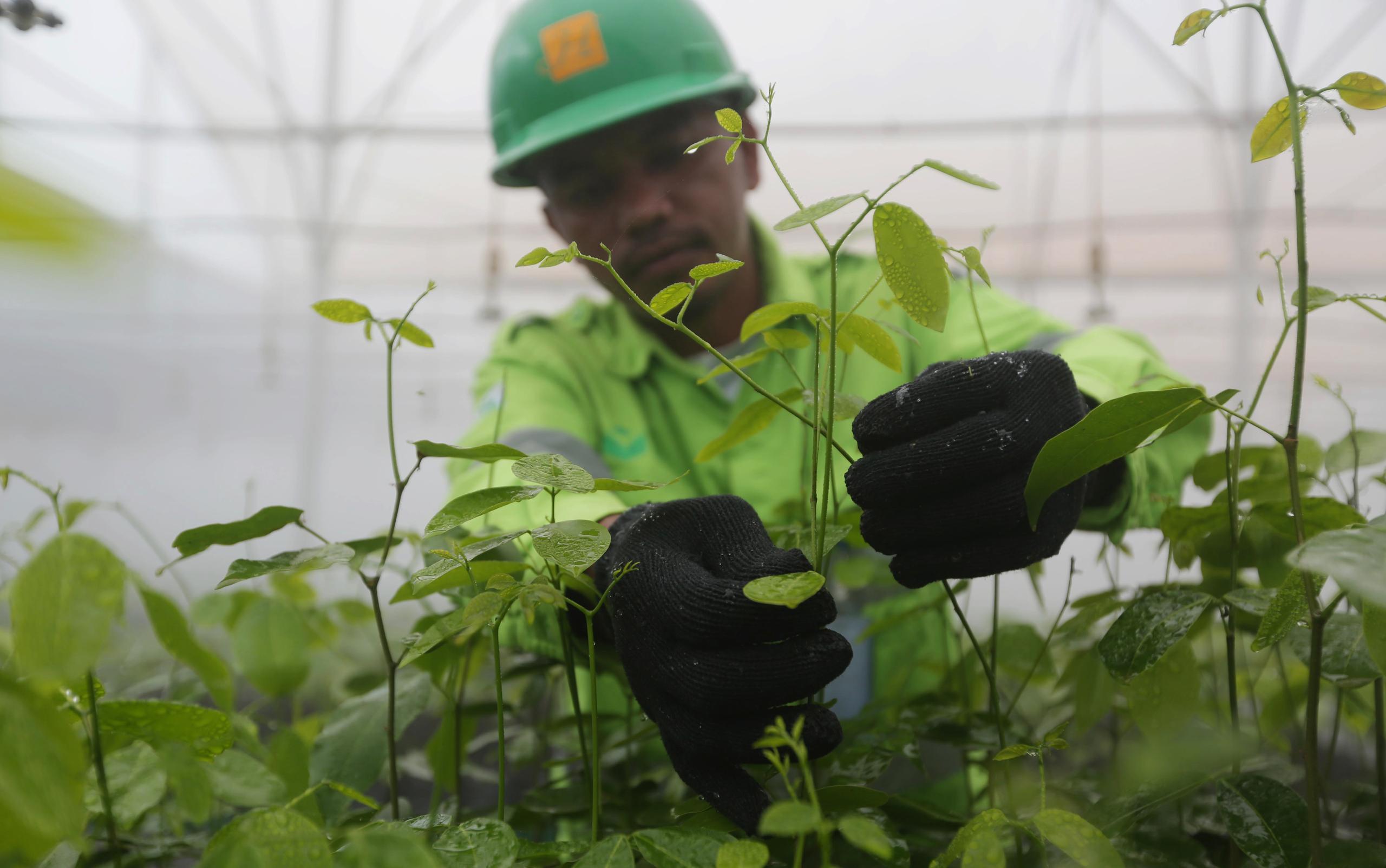 Our Latest Progress Toward Responsible and Transparent Mining and Processing