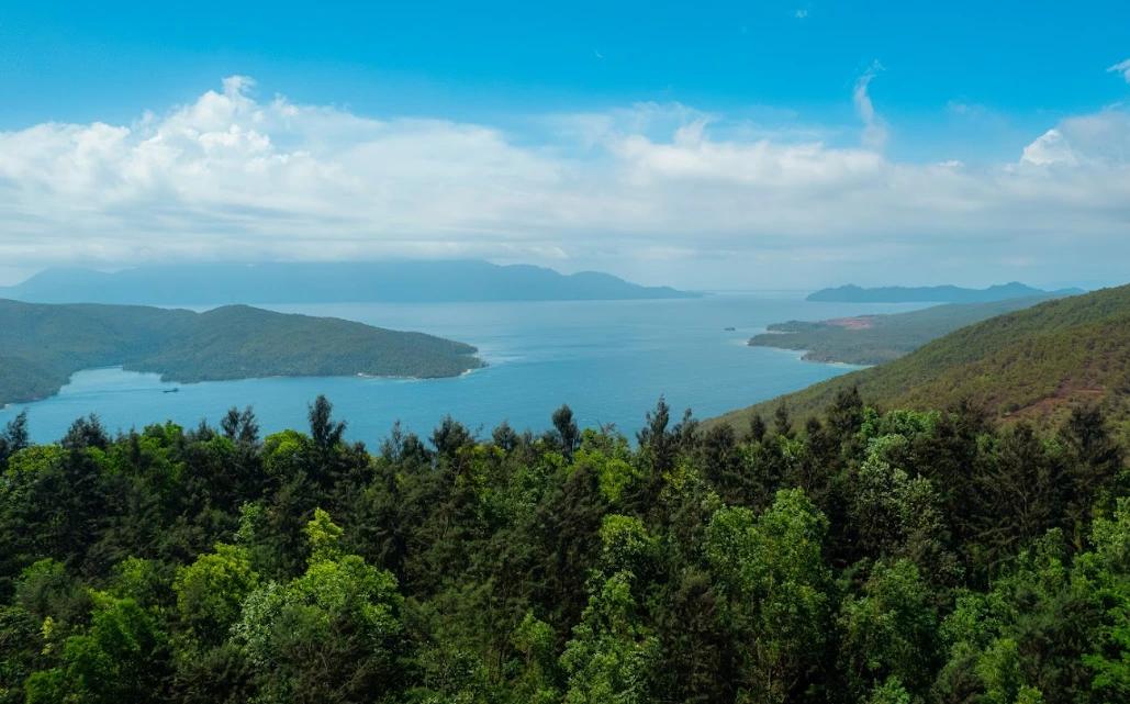 What Is ESG? Definition and Examples of Application in Indonesian Nickel Mining