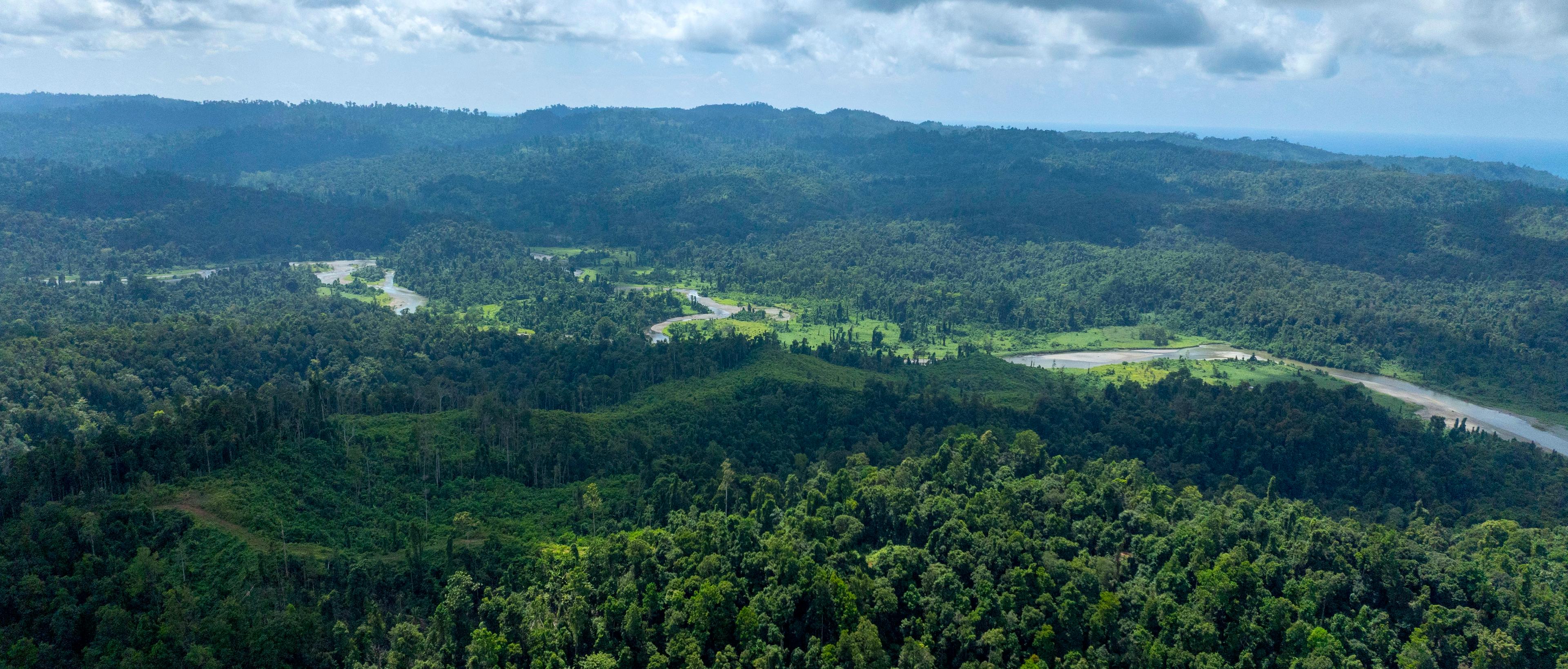 Celebrating Earth, Optimizing Energy: Harita Nickel’s Steps In Managing Emissions