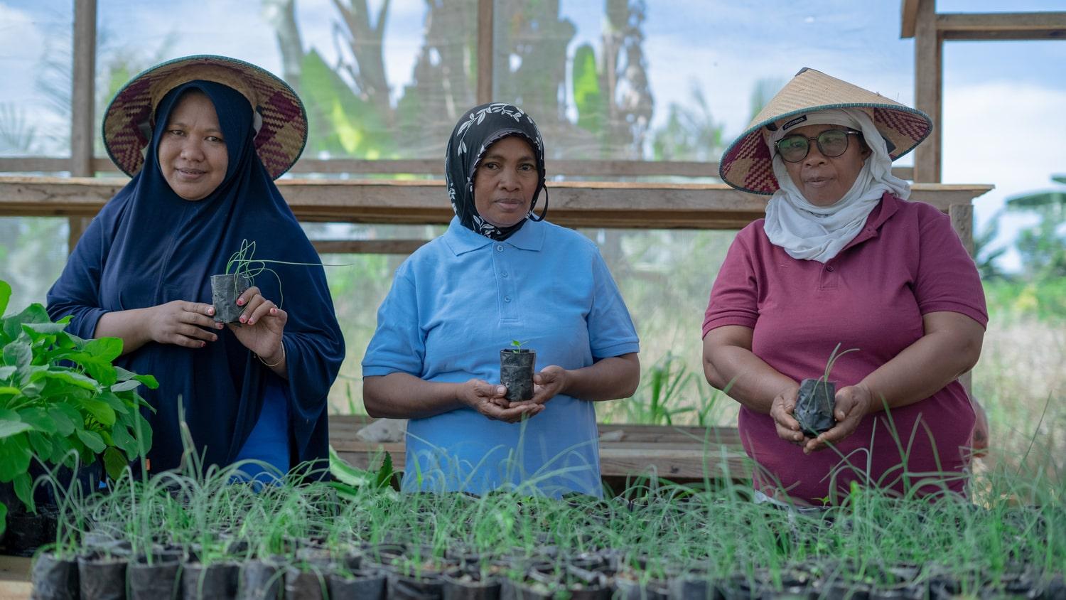 Cooperation Between Farmer Groups and Harita Nickel on Obi Island