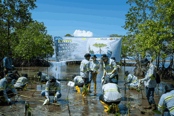 Environmental Commitment, Harita Nickel Plant Mangroves in Soligi Village