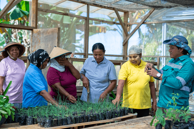 Harita Nickel's PPM Program Generates Monthly Revenue of IDR 8 Billion
