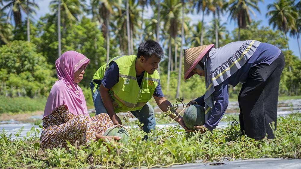Kemenko Marves Named Harita Nickel an Eco and Social Impact Mining Company