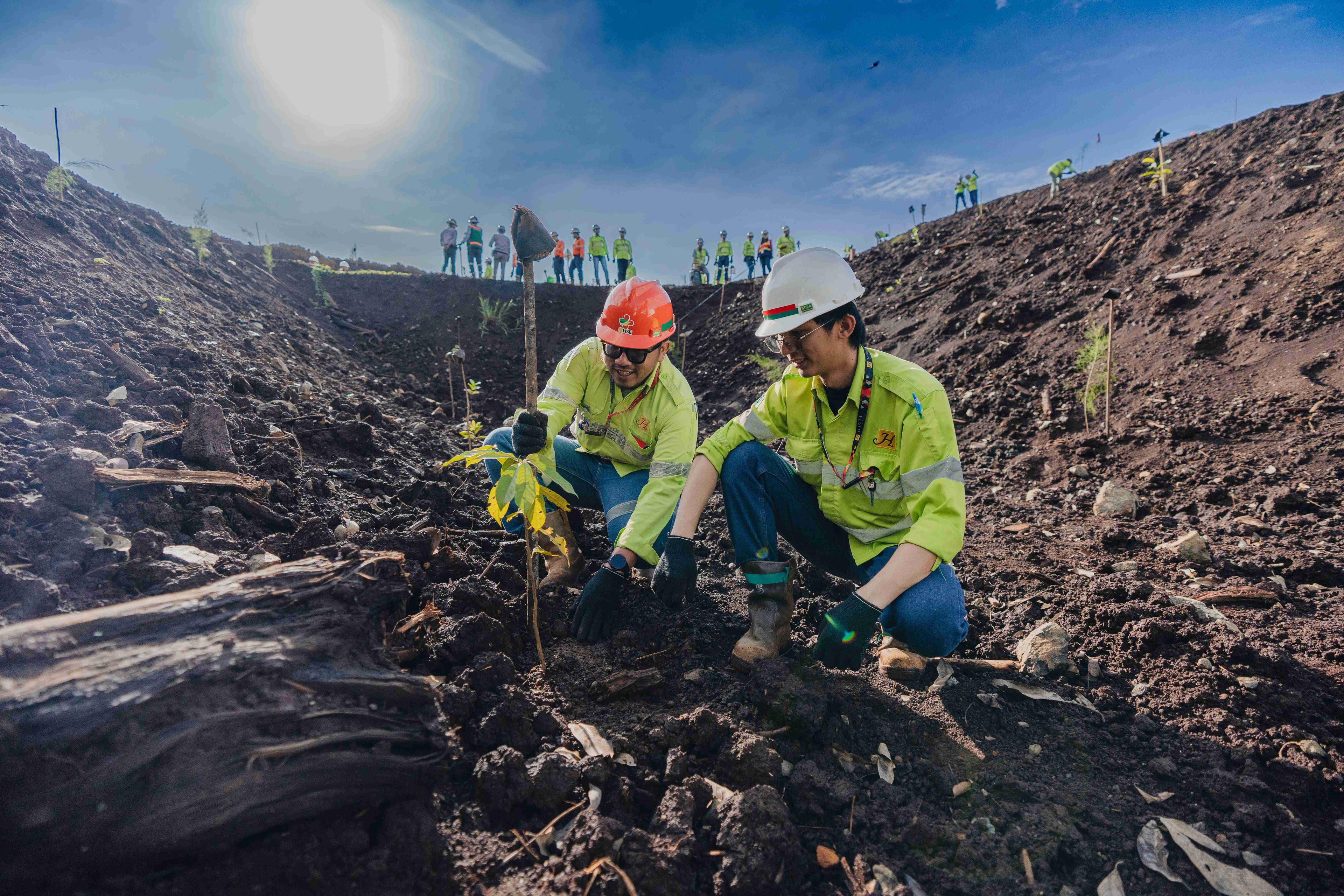 Harita Nickel Preserves the Environment with Tree Planting