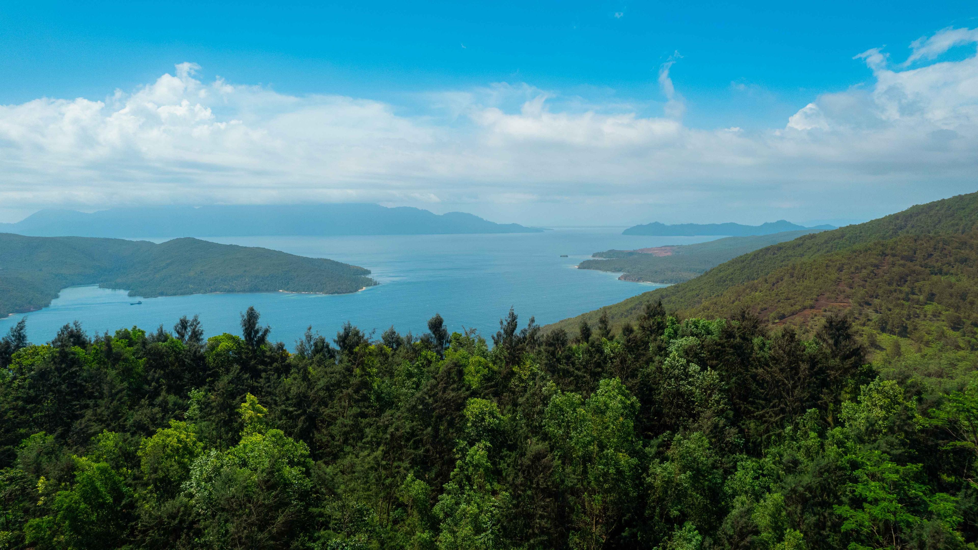 Facing Weather Challenges, Harita Nickel's Reclamation Successfully Reclaims Former Mining Areas
