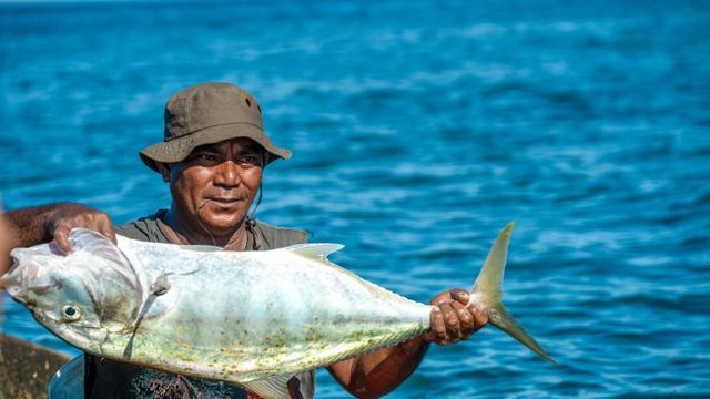 Large, Abundant, Fresh Fish: Fishermen of Obi Island Rejoice!